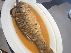 -阿庄新豫菜(通泰路店)
