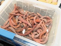 -东海怡品海鲜豆捞(星街坊店)