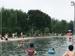 -柳浪游泳场