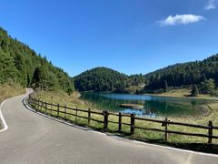 -武陵山森林公园