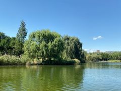 -中关村生命科学园