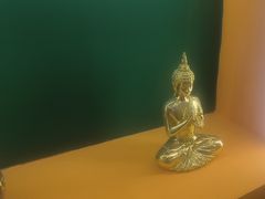 -泰古龙拨筋·spa按摩(成都环球汇店)