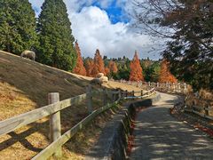 -神户市立六甲山牧场