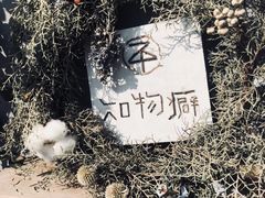 -知物癖(牛王庙店)