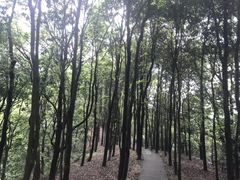 -广州市帽峰山景区