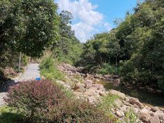 -广州白江湖森林公园