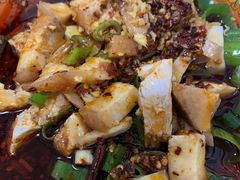姜汁肘子-温记府廟豆汤饭·始于1955年(海椒店)