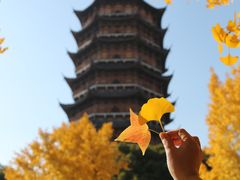 -北寺塔