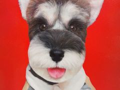 -Refn油画丨零基础定制油画