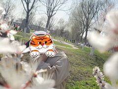 -天津东丽湖风景区