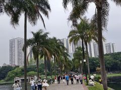 -南宁南湖公园