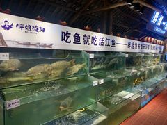 水产区-胖姐渔村(中源大道店)