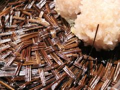 -风波庄(罍街分舵)