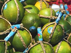 -水果天空(东葛店)