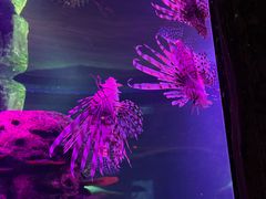 -沈阳海洋探索中心