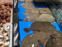 -映像威海·海鲜味道(经区店)