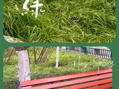 -莲湖公园