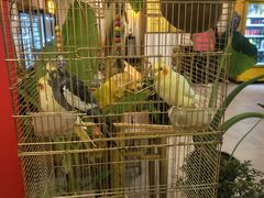 -潇湘·永州会馆(百子湾店)