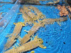 -徐记海鲜(大雁塔|金都店)