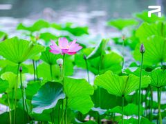 -WhaleSports户外水上运动俱乐部(朝阳公园店)