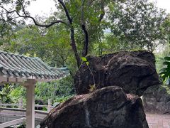 -广州兰圃