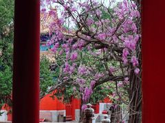 -北京国子监胡同
