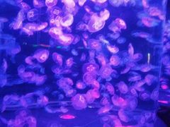 景点-水上乐园·欢乐世界