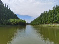 -黄海国家森林公园