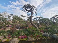 -罗红摄影艺术馆