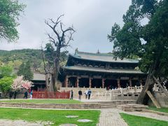 -晋祠公园