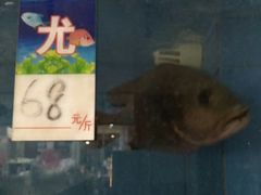 -宋船渔栈(白沙店)
