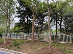 -滨河世纪广场公园