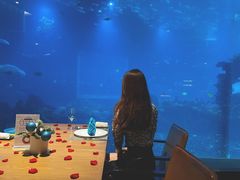-海棠湾洲际-涛·海底餐厅·美人鱼·自助餐·海底隧道