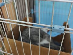 -瑞鹏宠物医院·内科·中兽医·骨科(苗圃店)
