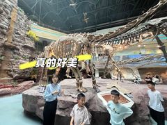 -安徽省地质博物馆