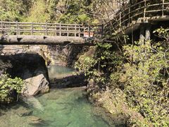 -石台牯牛降景区