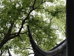 -裕兴记·三虾面(西北街总店)
