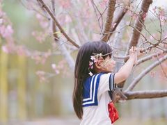 -天适樱花悠乐园