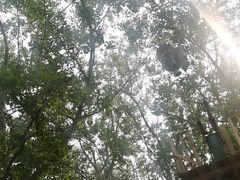 -朝阳公园游乐园