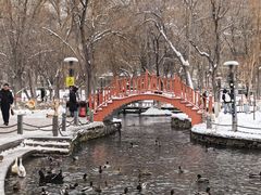 -水磨沟公园