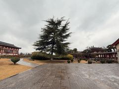 -洛阳古墓博物馆