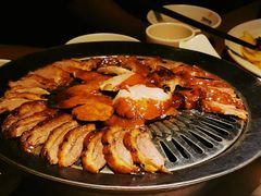 -守柴炉烤鸭(科华中路王府井店)