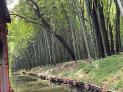 -同里国家湿地公园