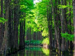 -沙家浜风景区