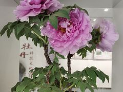 -国家植物园南园