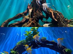 -海合安武汉极地海洋公园