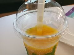 -Salud撒露欧洲冻酸奶(798艺术区店)