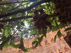 -牛鱼嘴原始生态风景区