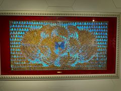 -上海昆虫博物馆