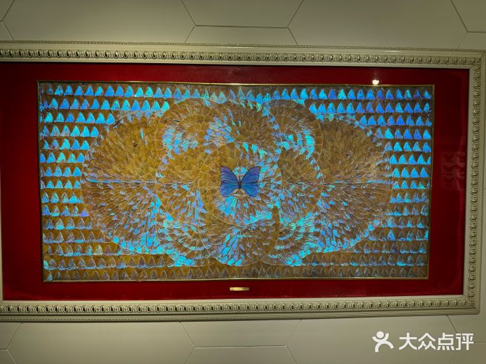 上海昆虫博物馆图片